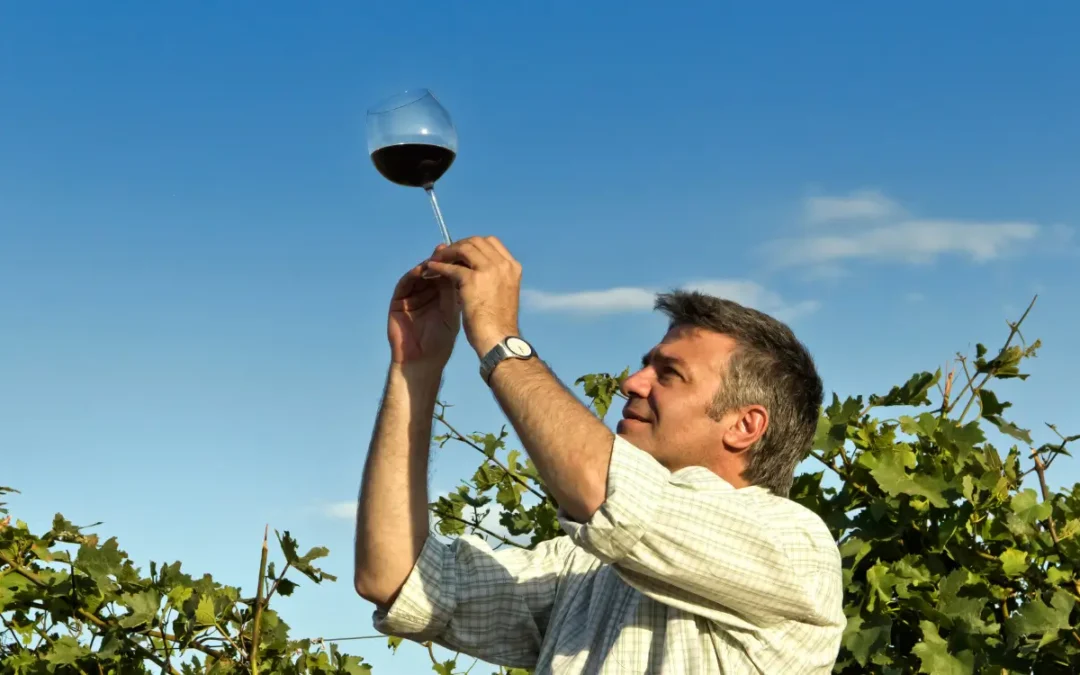 6 Questions Every New Winemaker Has