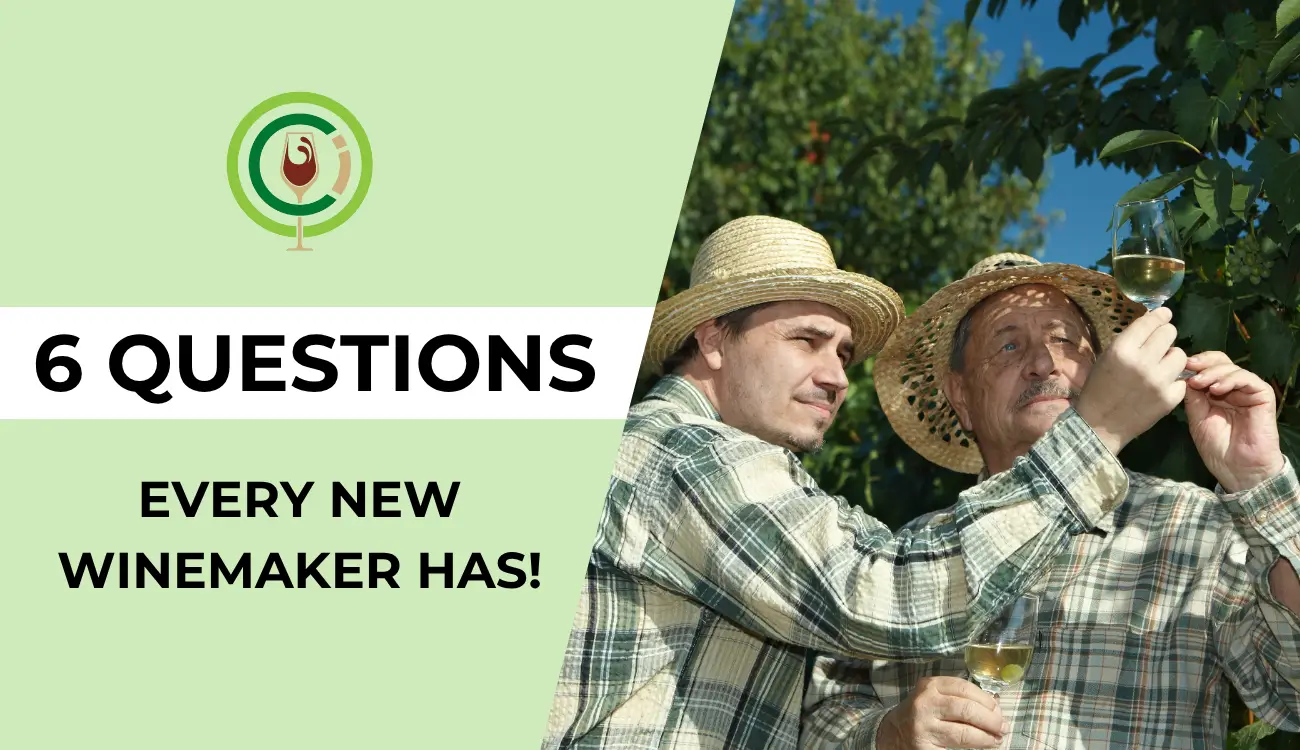 6 Questions Every New Winemaker Has (1) what is harvest