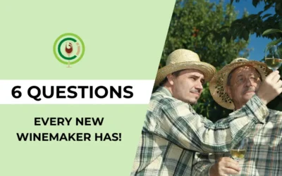 Home 7 6 Questions Every New Winemaker Has