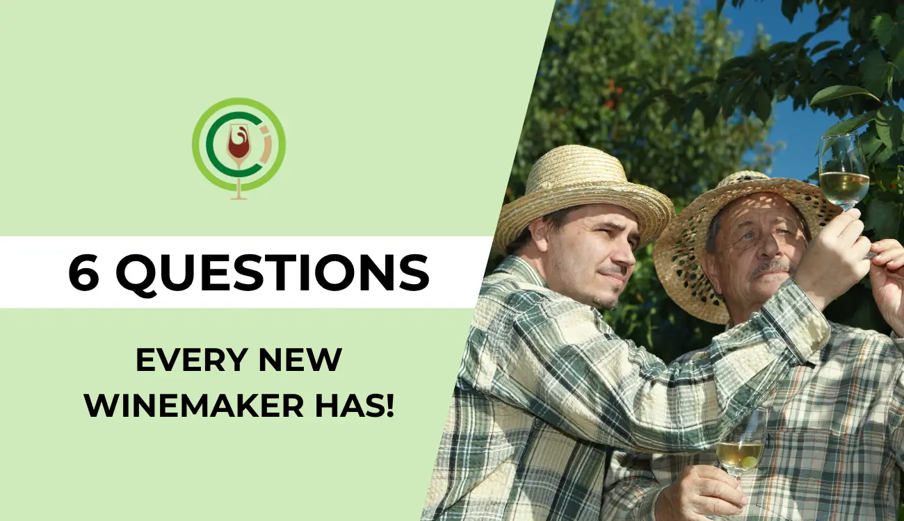 6 Questions Every New Winemaker Has