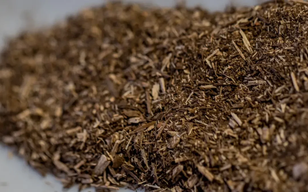 What Is Oak Powder?