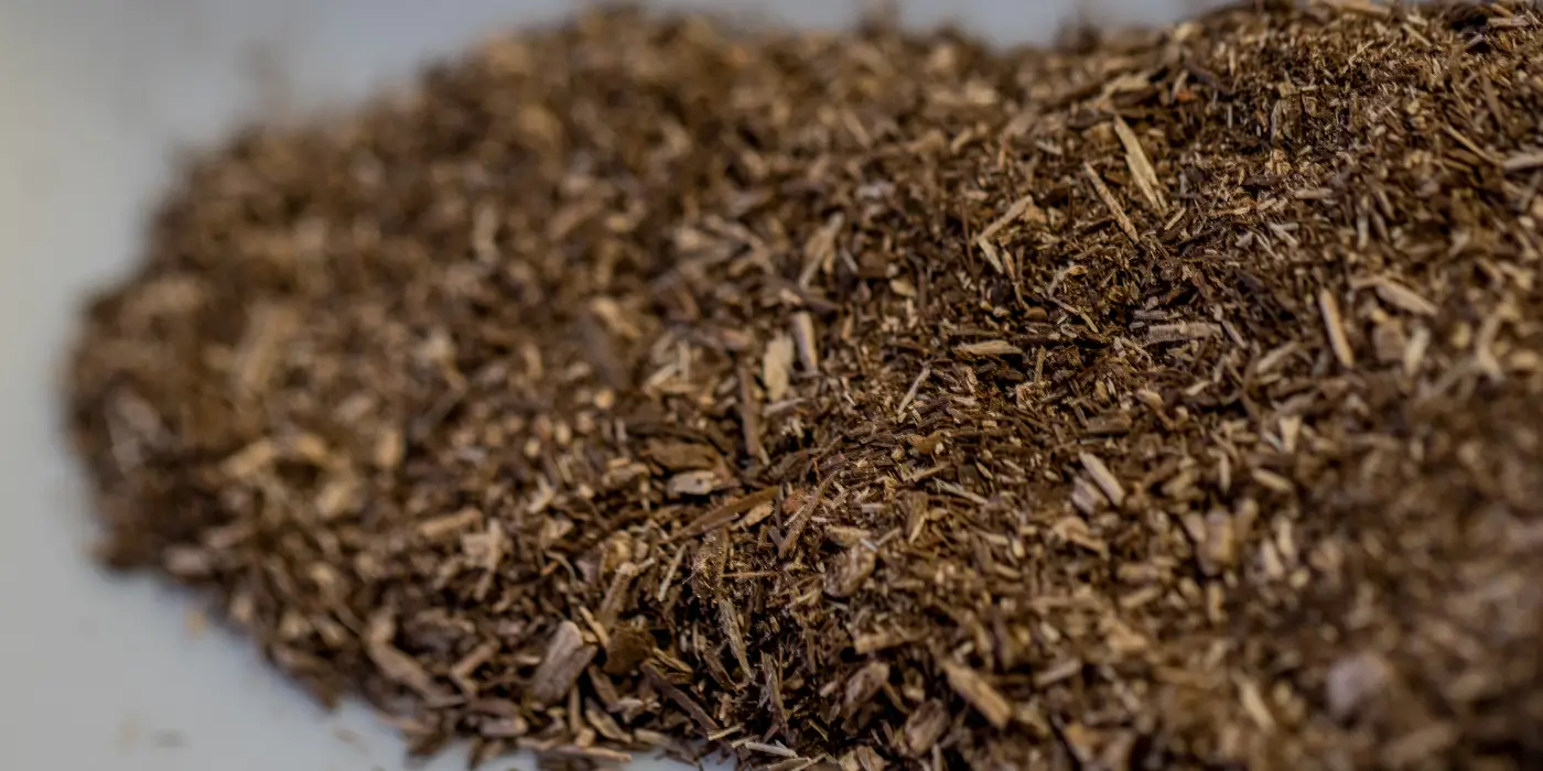 What Is Oak Powder?