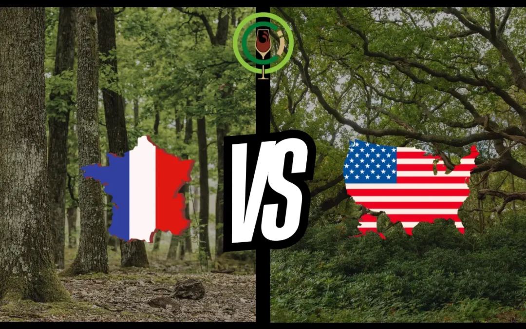 French Oak VS American Oak: Which Should You Choose? 