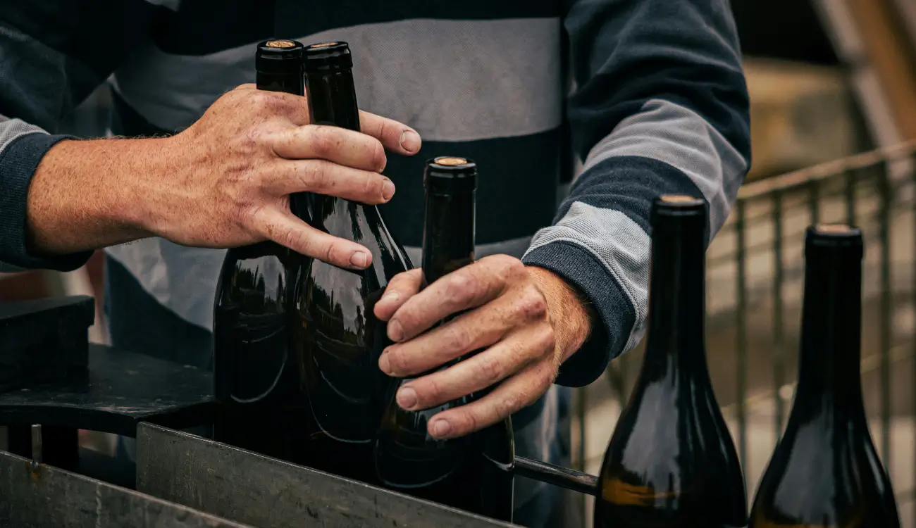 winemaker lifting bottles