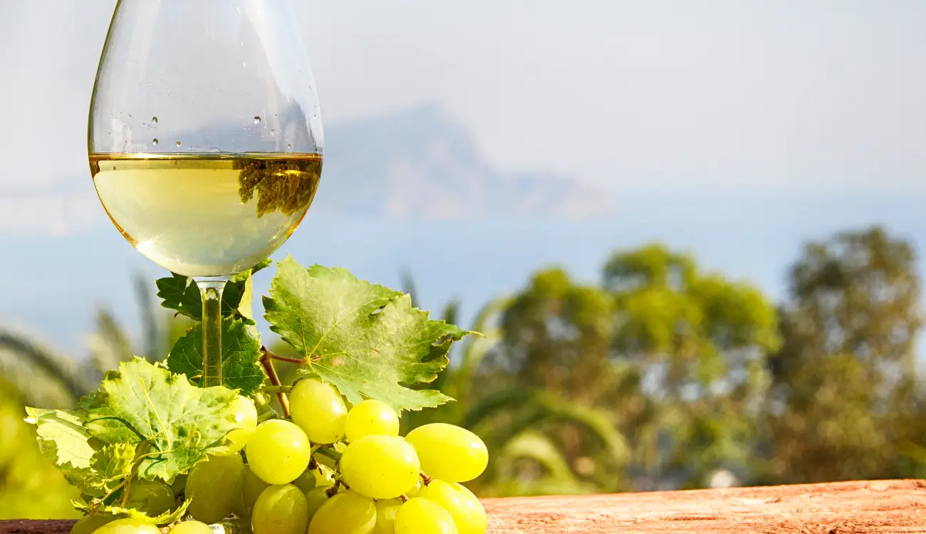 glass of wine in the foreground of mountains glass of wine in the foreground of mountains
