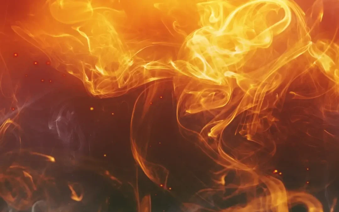 The Science Behind Toasting Oak