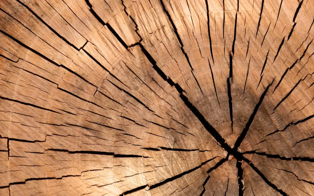 How Wood Grain Affects Wine