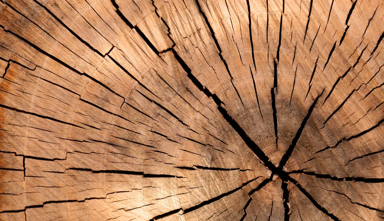 How Wood Grain Affects Wine